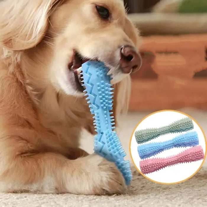 Interactive Dog Chew Toy