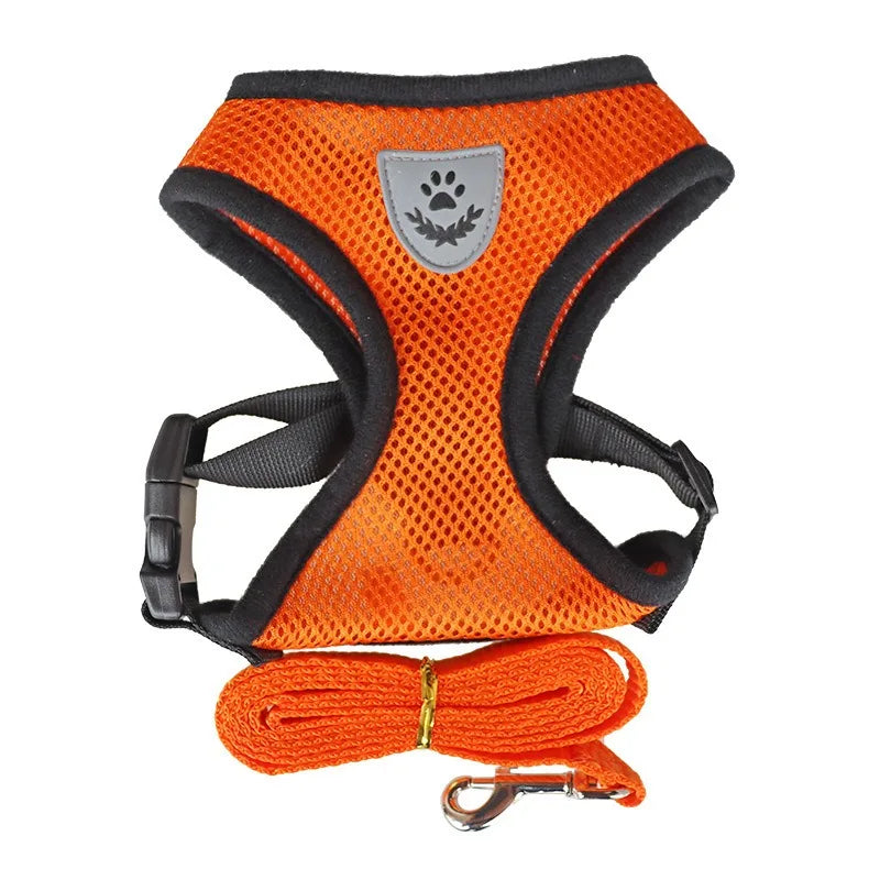 Escape-Proof Pet Harness & Leash Set (Cats & Dogs)