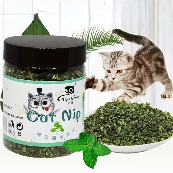 Natural Catnip Grass - Organic Fresh Herb for Happy & Healthy Cats
