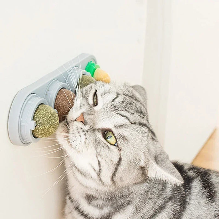Rotating Catnip Ball Wall Toy
